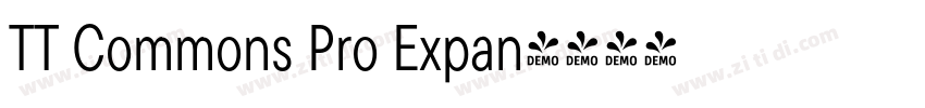 TT Commons Pro Expan字体转换 TT Commons Pro Expan字体转换